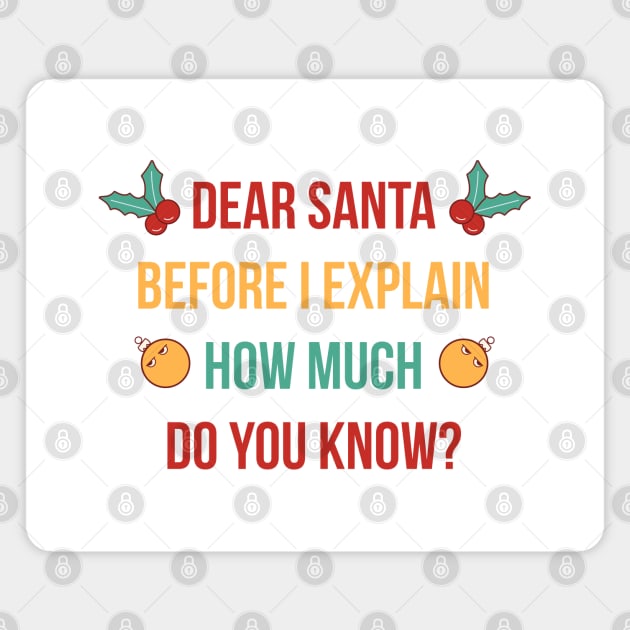 DEAR SANTA BEFORE I EXPLAIN HOW MUCH DO YOU KNOW Magnet by Bombastik